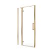 Aspect | Hinged & Inline Door | 1000mm | Brushed Gold