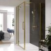 Aspect | Hinged & Inline Door | 1100mm | Brushed Gold